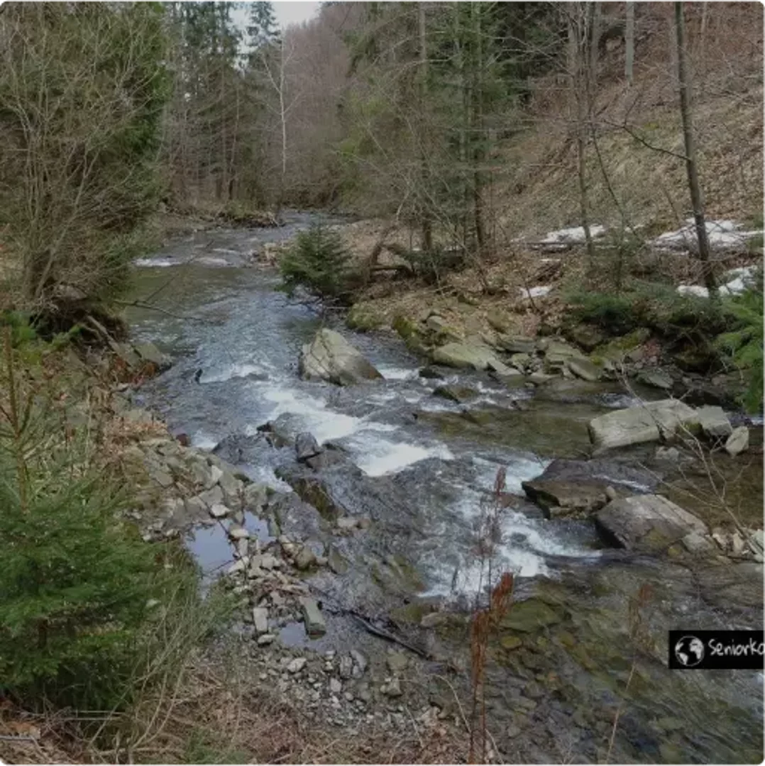 Wycieczka Doliną Zimnika